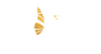 Shine With Jaz - Home
